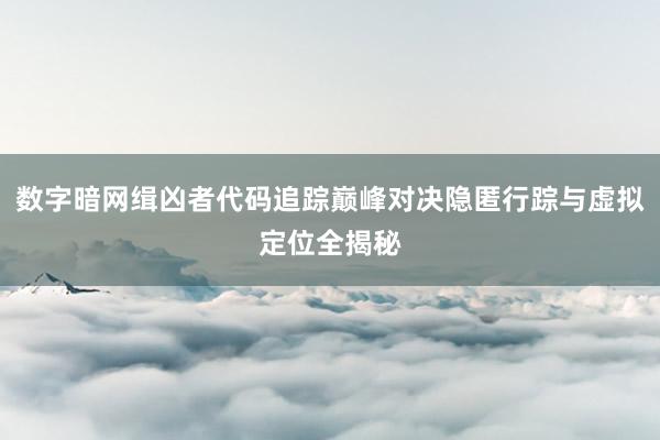数字暗网缉凶者代码追踪巅峰对决隐匿行踪与虚拟定位全揭秘